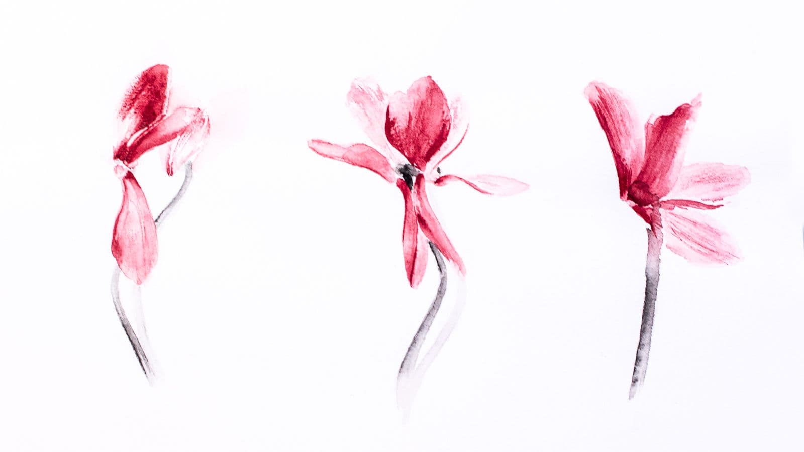 05. 2016// Flower Study